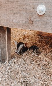 41272 0ff2d6377b8a8f74b5eae35a31ad255d 24.2.2025, 21 53 14